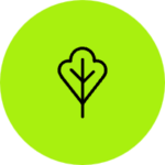 Environmental & Safety